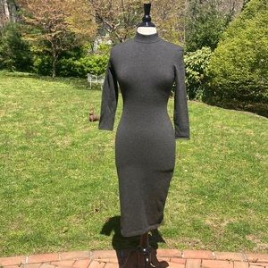 RALPH LAUREN GRAY CASHMERE LONG DRESS & Sleeves Size S Purple Label